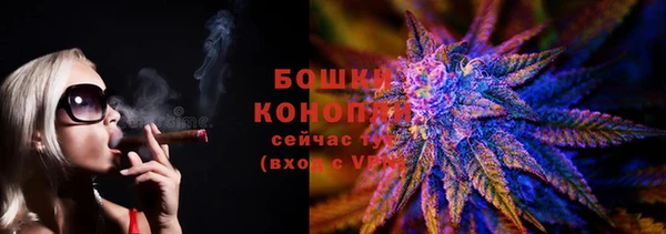 прущие грибы Осташков