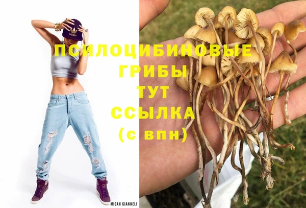 2c-b Гусиноозёрск